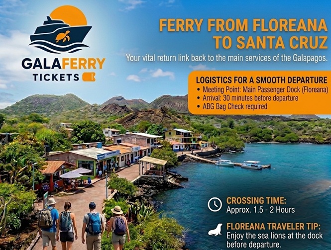 Direct ferry route from Floreana to Santa Cruz showing pier logistics and sea lion observation tips at the dock