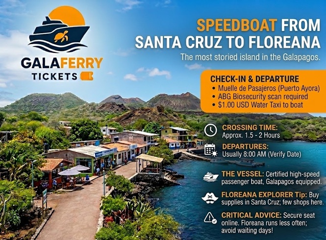 Direct speedboat from Santa Cruz to Floreana with essential travel advice, check-in details and local explorer tips